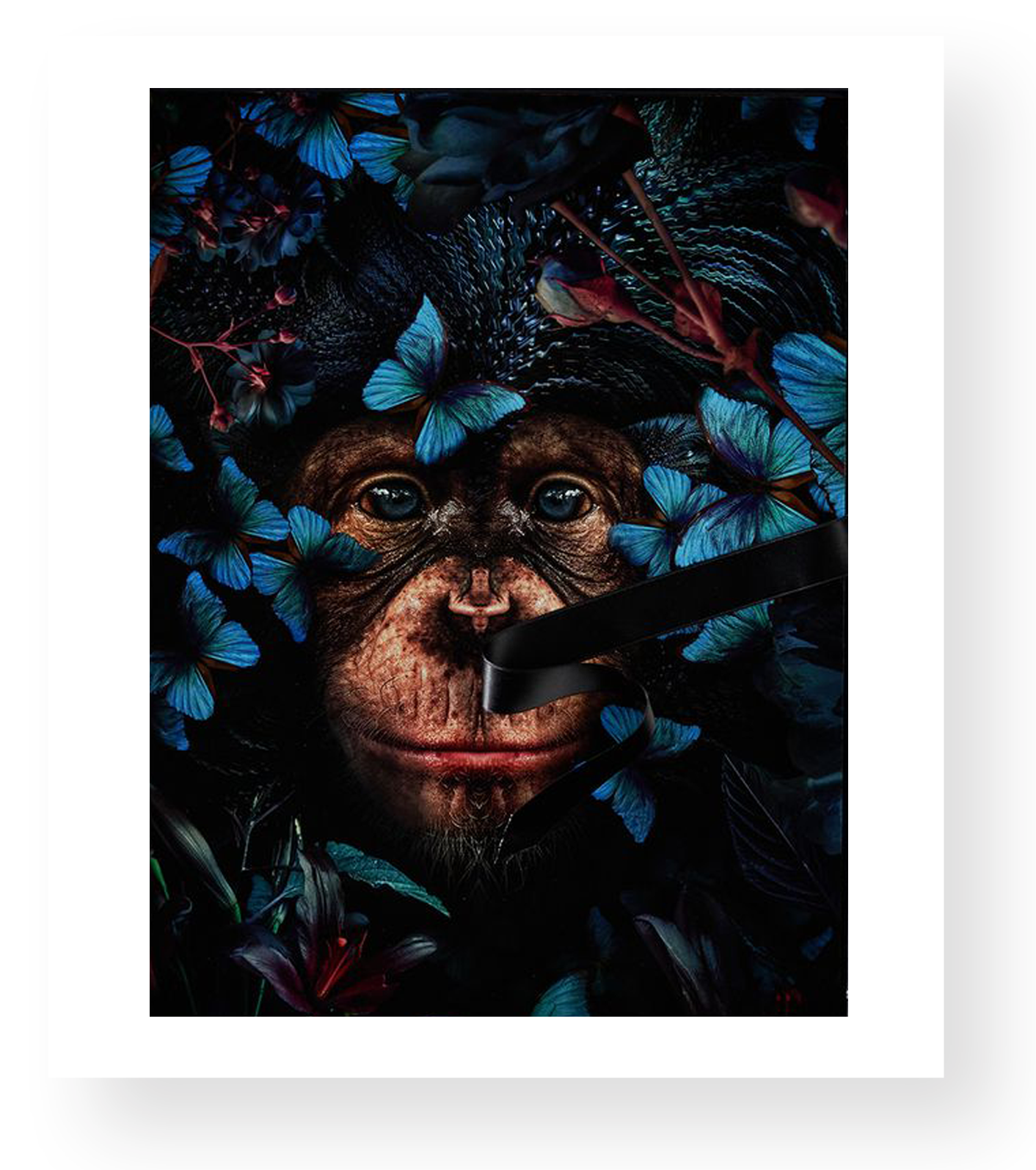 wonderful-gallery_CE_MVL_WTDG_Cover