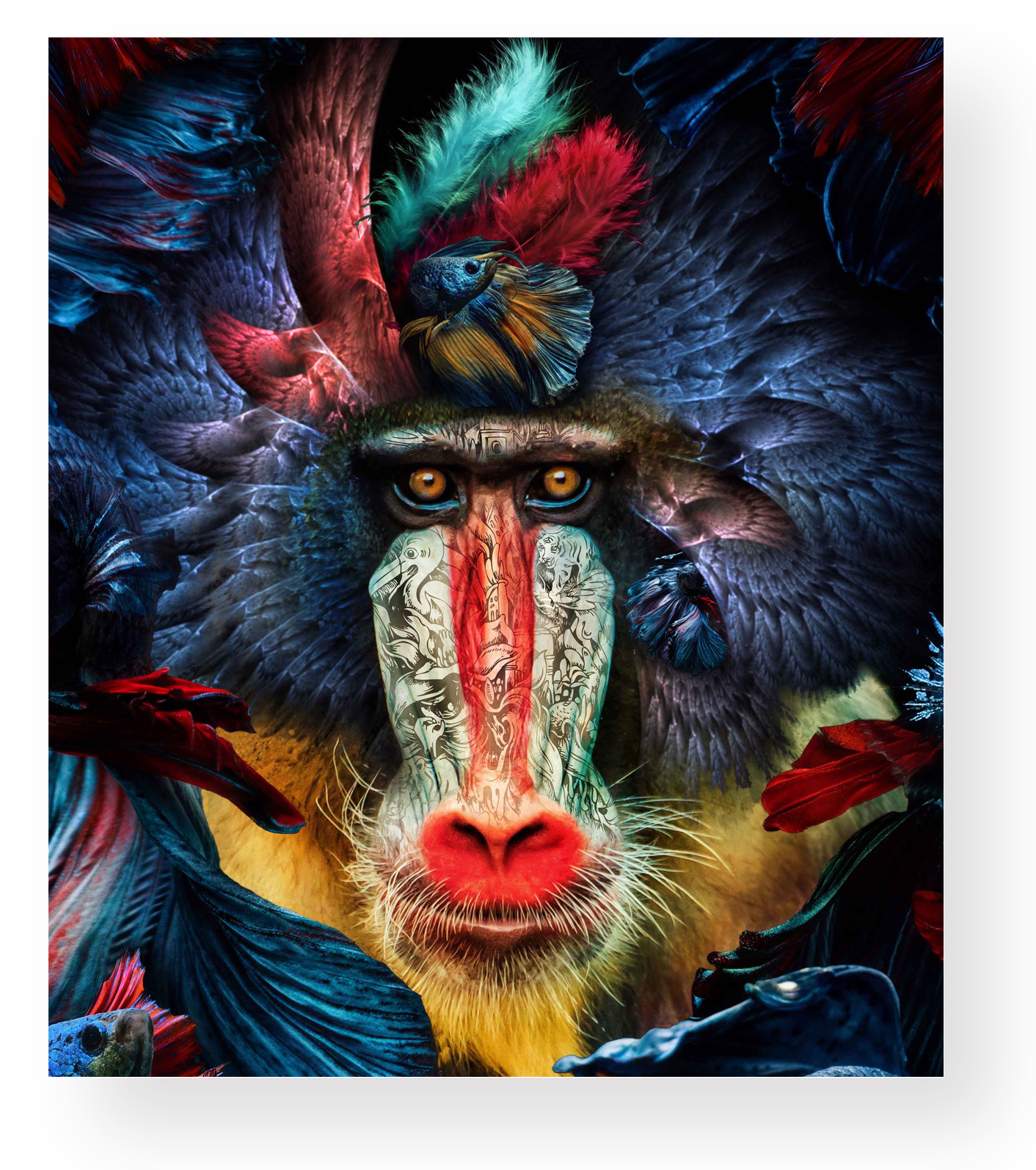 wonderful-gallery_VAN_LUIT_CE_03