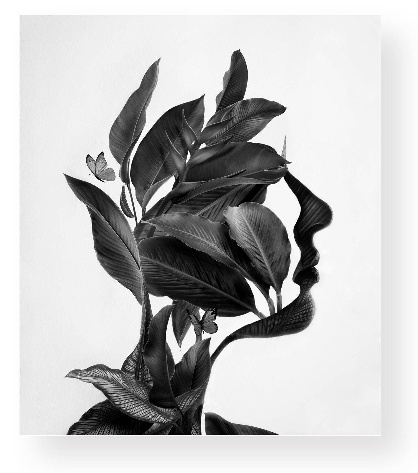 wonderful-gallery_VAN_LUIT_CE_04