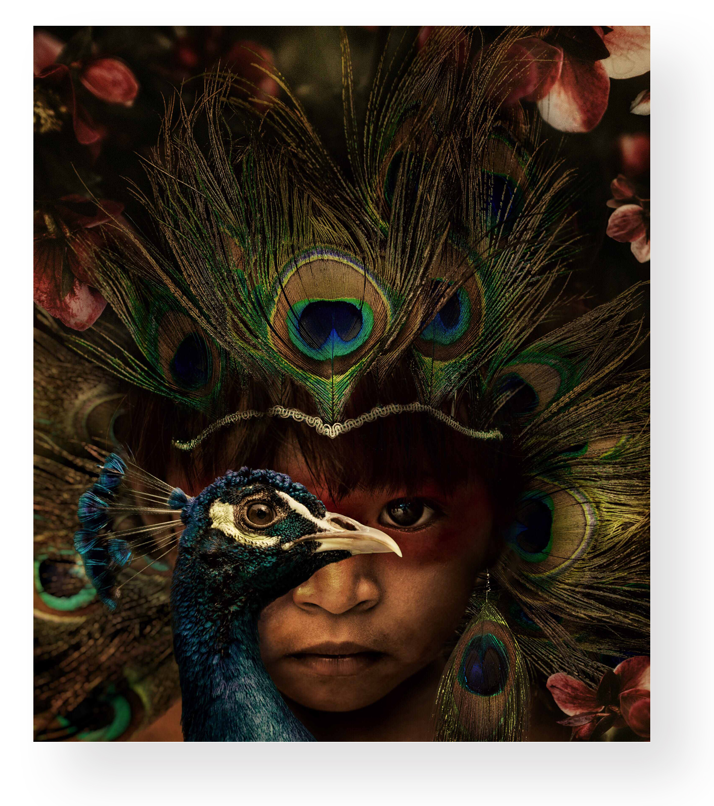 wonderful-gallery_VAN_LUIT_CE_06